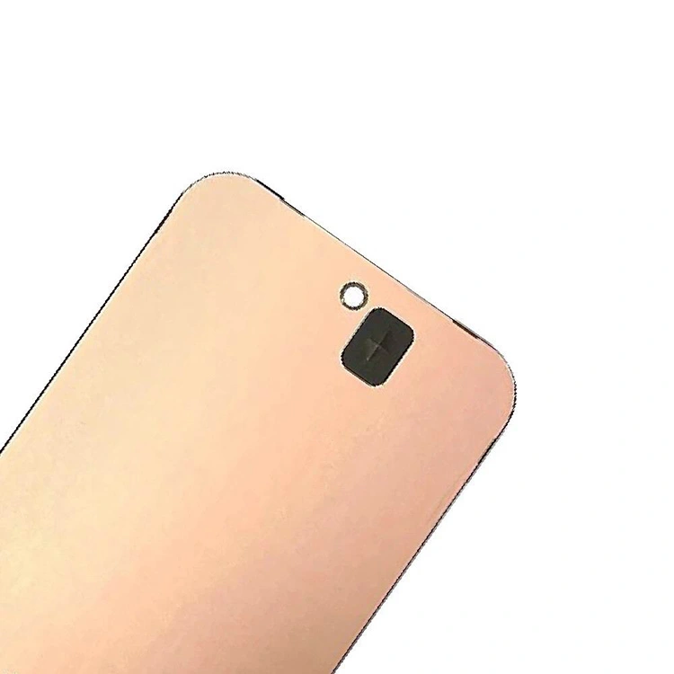 পিক্সেল 9 এলসিডি স্ক্রিন